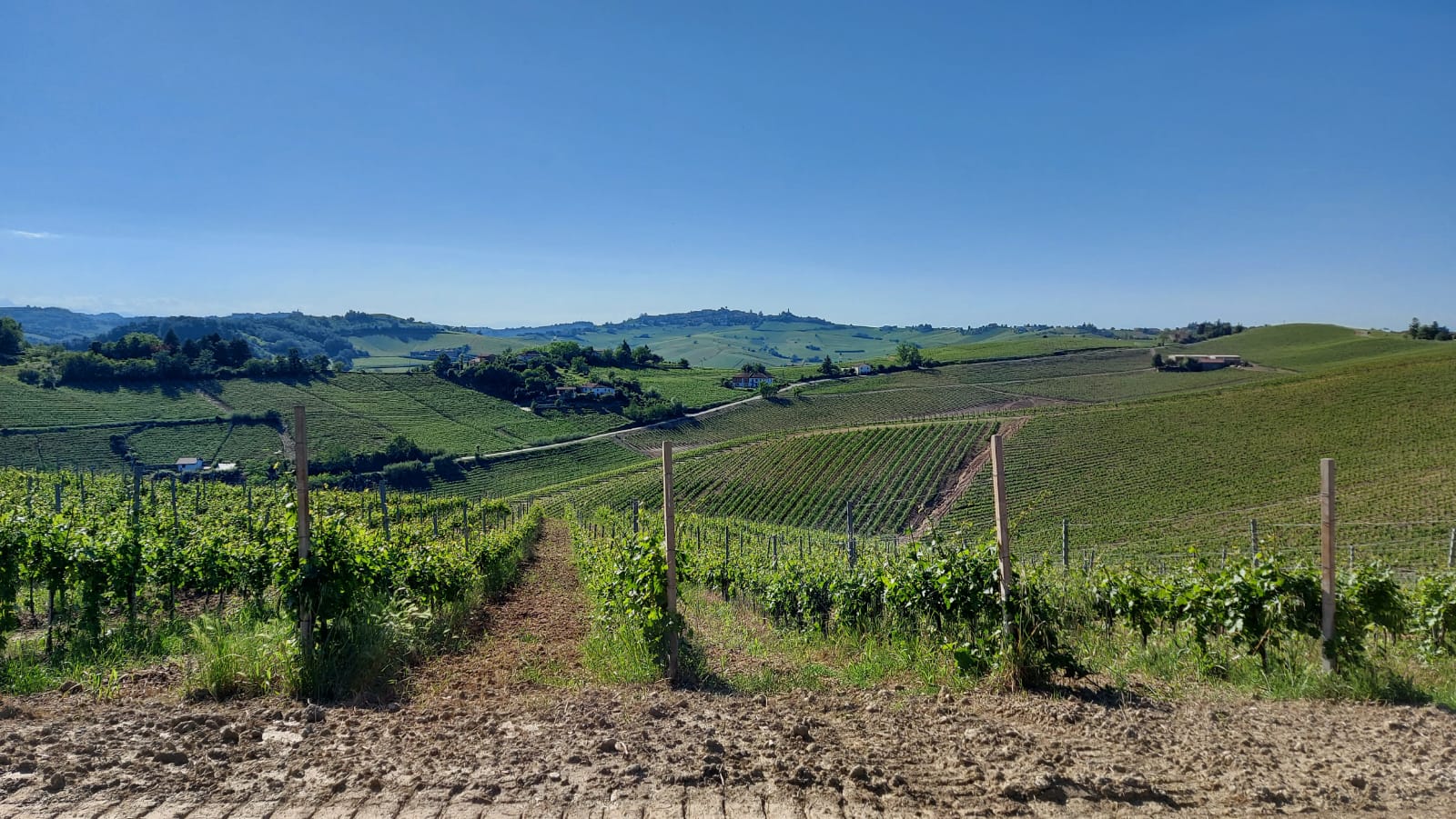 Alla scoperta dei sapori del Monferrato