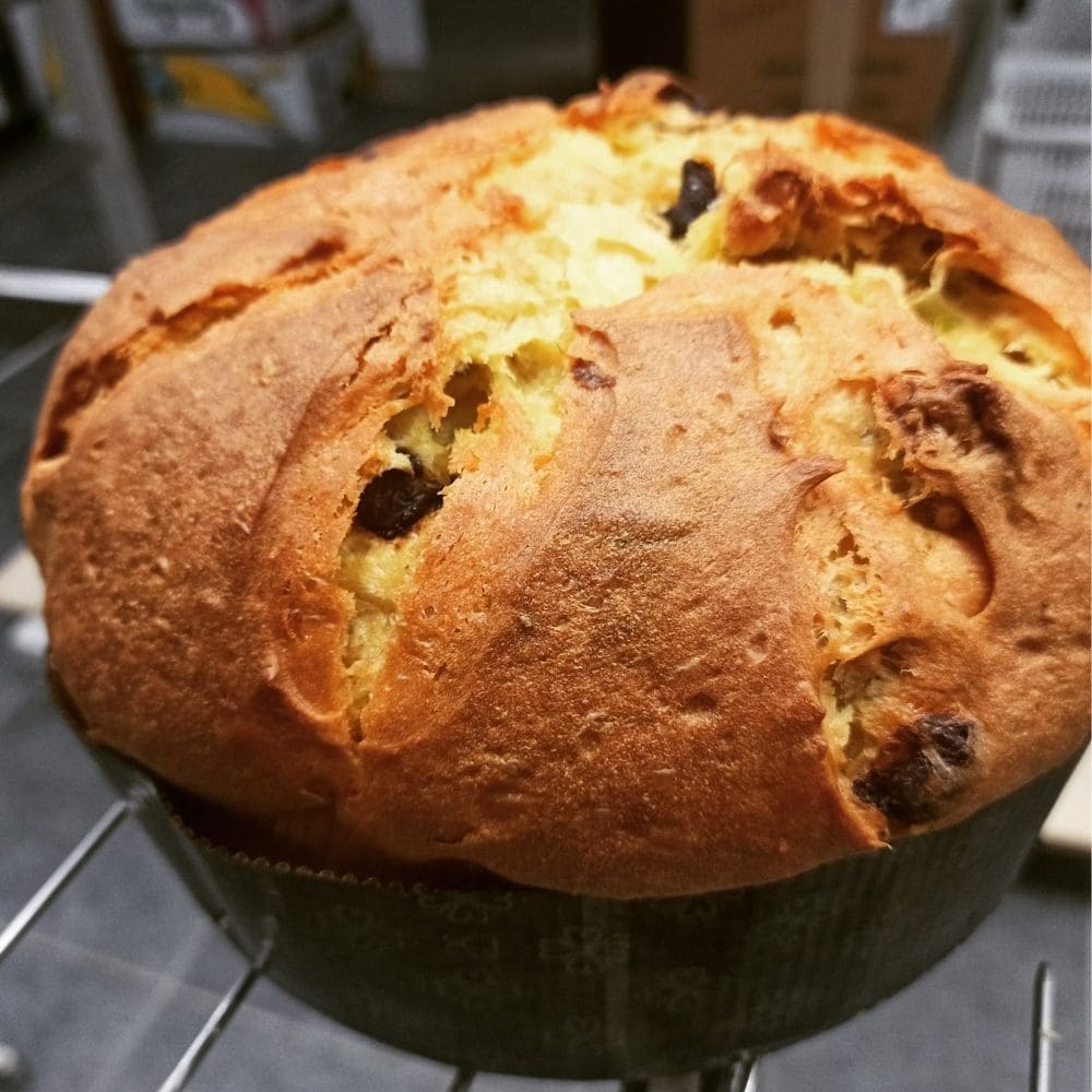 Panettone tradizionale