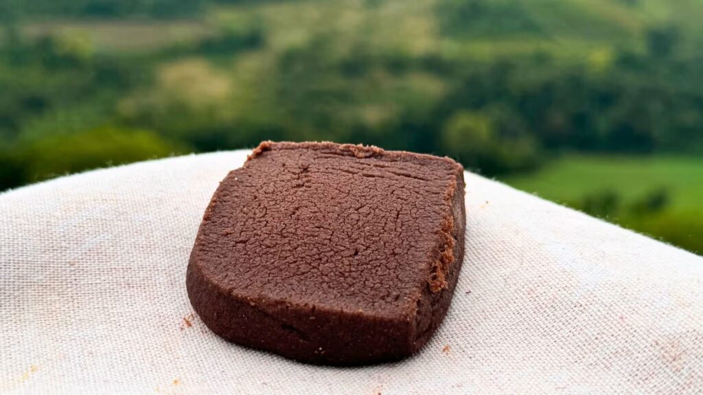 Biscotti vegani al cacao