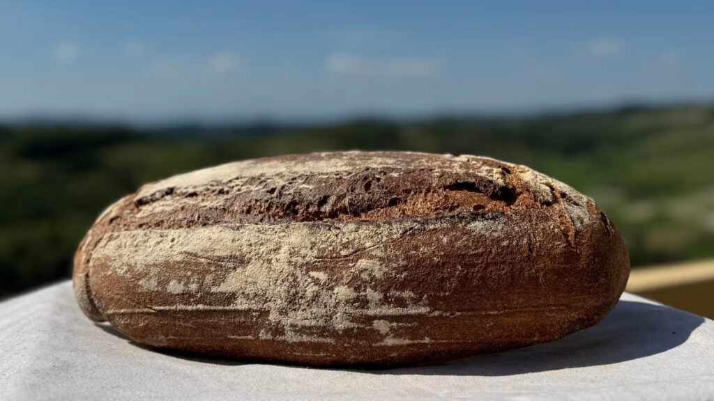 Pane integrale 100%