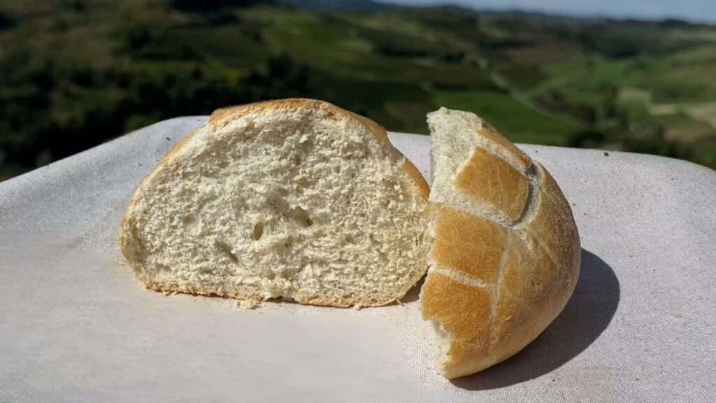 Pane tipo 0 Tartaruga