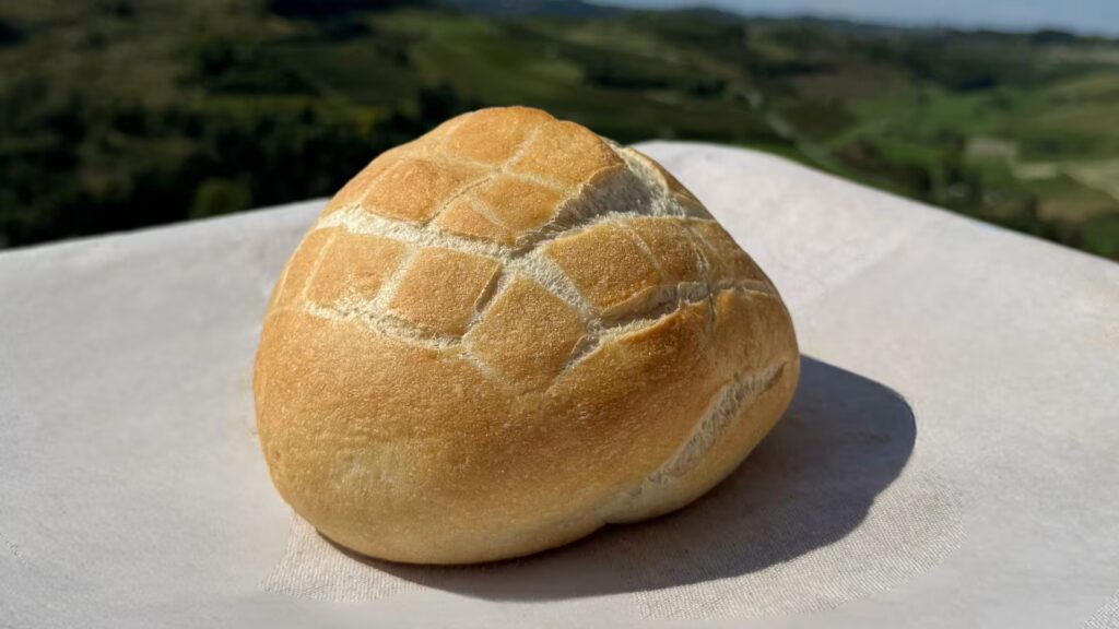 Pane tipo 0 Tartaruga